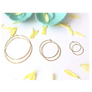 
            
                Load image into Gallery viewer, Gold Filled Small Hoop Earrings, 
            
        